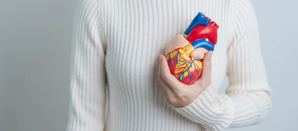 Woman holding human Heart model.